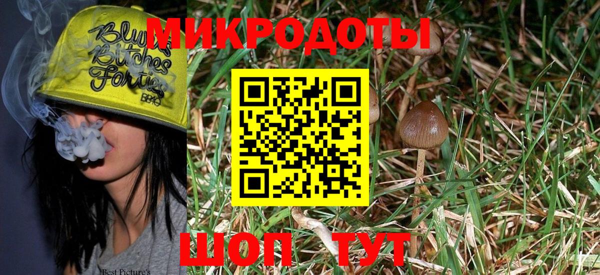 Королёв  закладка  Вход с VPN  Псилоцибиновые грибы Magic Shrooms 