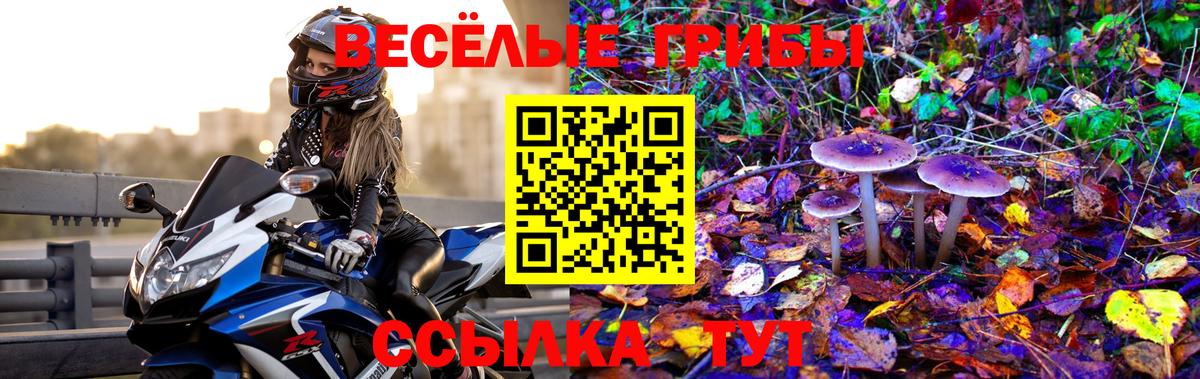 Галлюциногенные грибы Cubensis Королёв