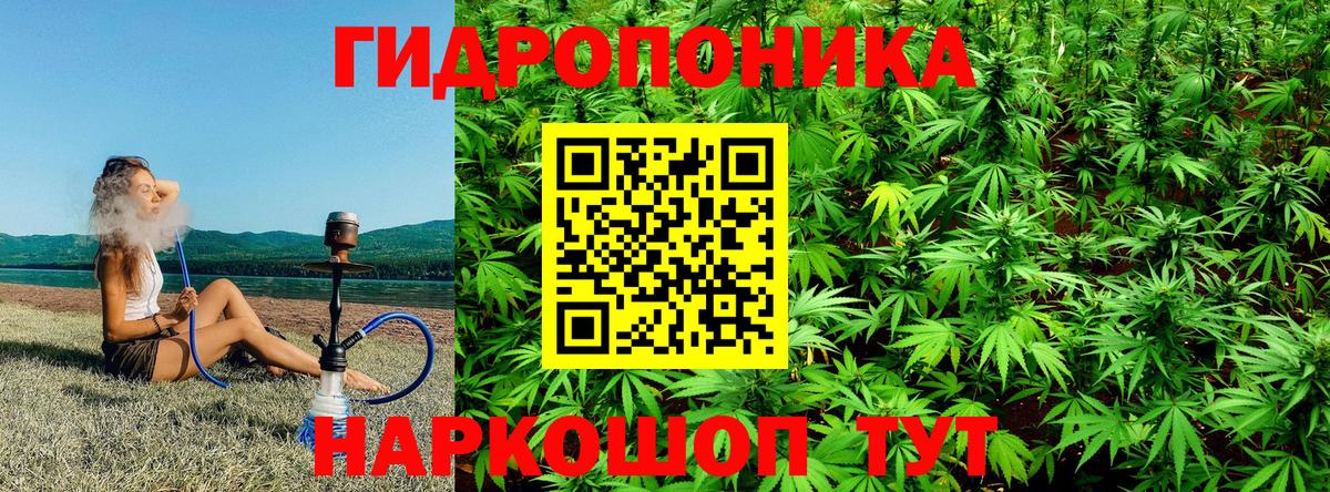 Королёв  Канабис план  Бошки Шишки конопля  Вход с VPN 